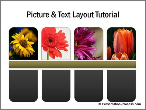 Adding Color to Layout