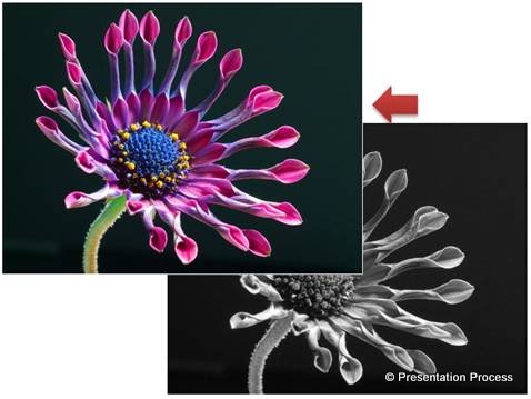 Photo Effect with Greyscale Copy