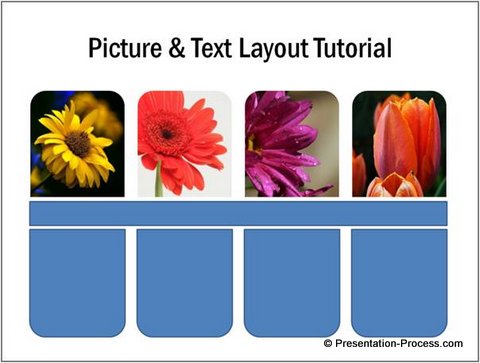 Insert Pictures in PowerPoint