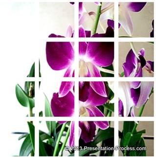 Filled Picture Mosaic in PowerPoint
