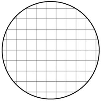 Grid Fill Shape