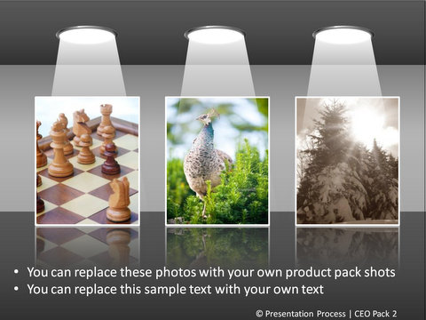 PowerPoint PIcture Layout from Marketing Section of CEO Pack 2