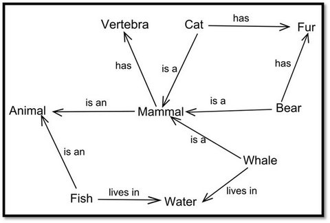 Brain Schema as Story Image from Wikipedia