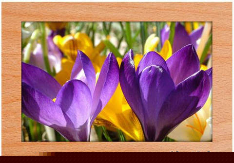 Wooden Frame for Picture